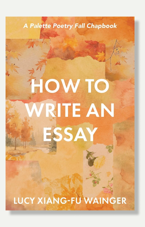 How to Write an Essay